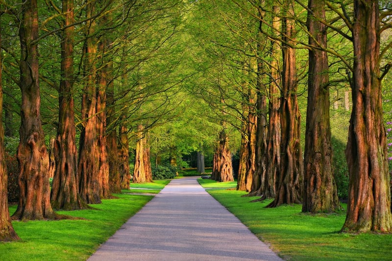 City Park